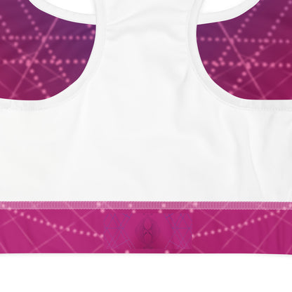 Pretty Purple / Pink Sports Bra